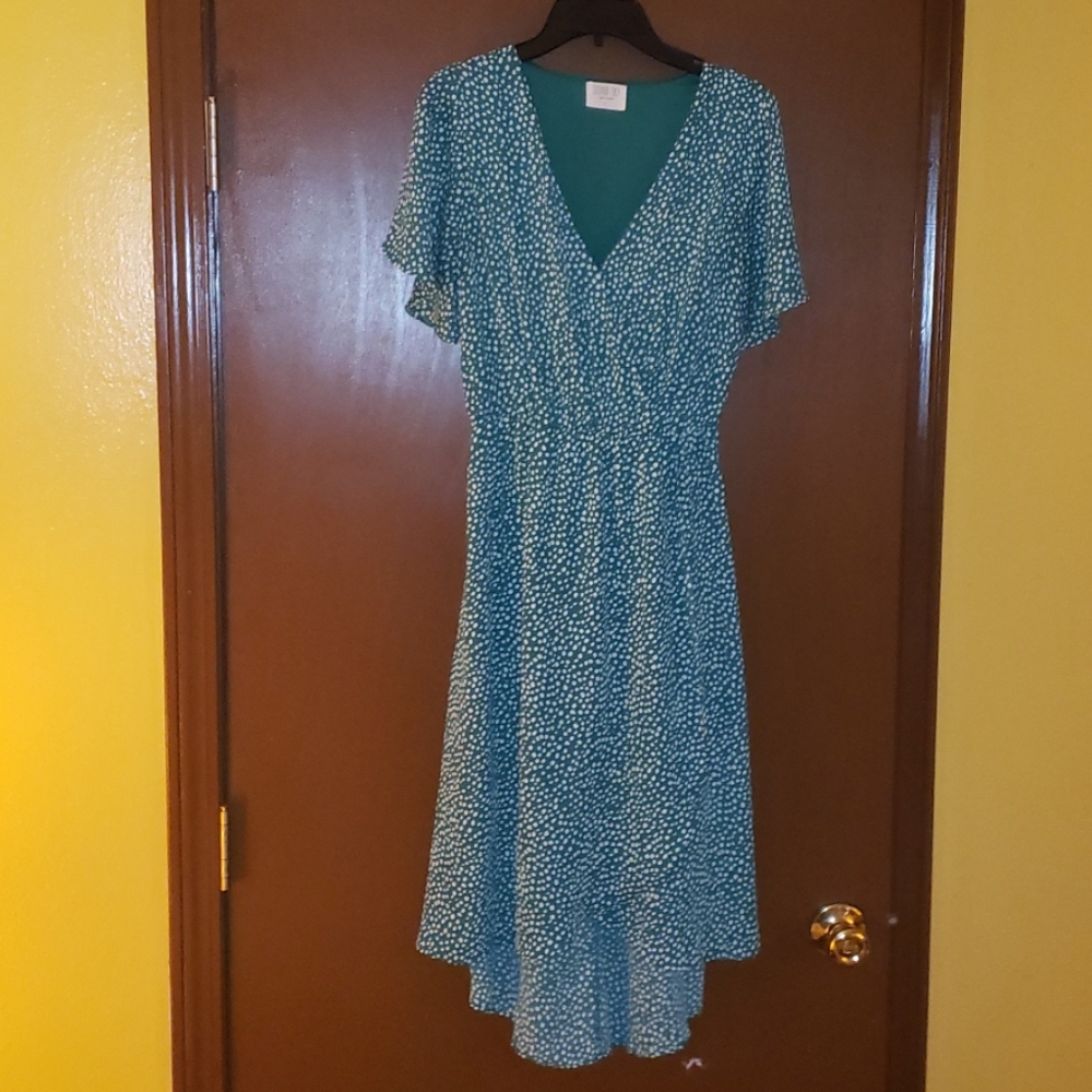 🔥NWOT🔥 Green & White Polka Dot Dress